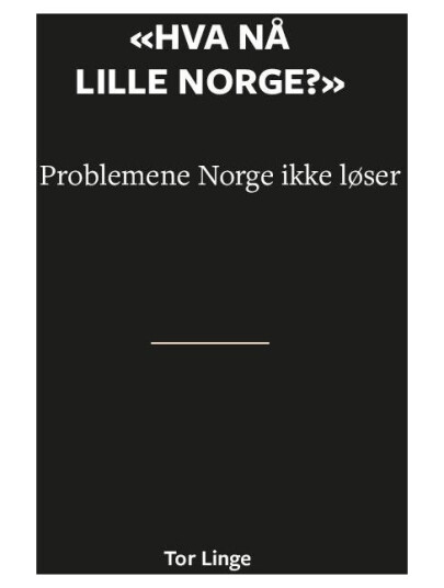 "Hva nå lille Norge" problemene Norge ikke løser "Hva nå lille Norge" problemene Norge ikke løser