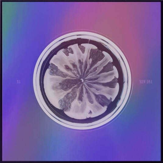 XG  New Dna x Version  CD