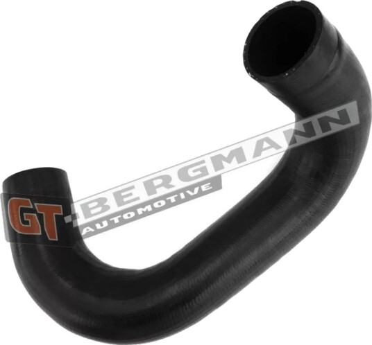 GT BERGMANN GT52 350 Ladeluftslange