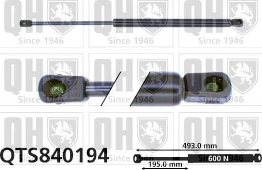 QUINTON HAZELL QTS840194 Baklukedemper
