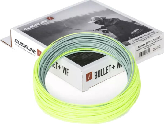 Guideline Bullet + WF Flyt - 6 - 6