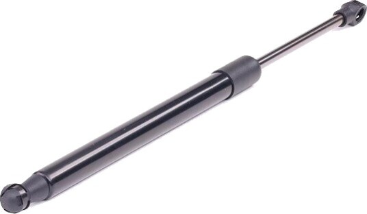 RIDEX 219G0366 Baklukedemper