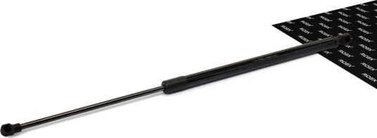RIDEX 219G0391 Baklukedemper