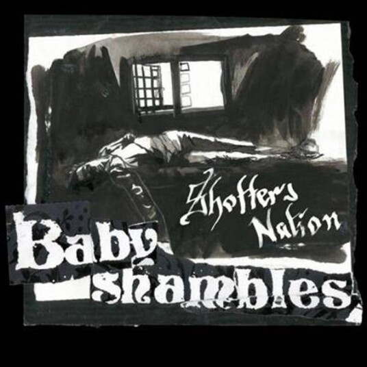 Babyshambles Shotters Nation CD