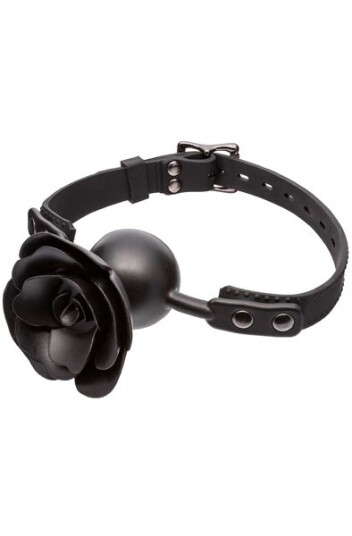 Forbidden Removable Rose Gag