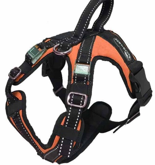 Zero Dc ZeroDC KODIAK Orange -Hundesele
