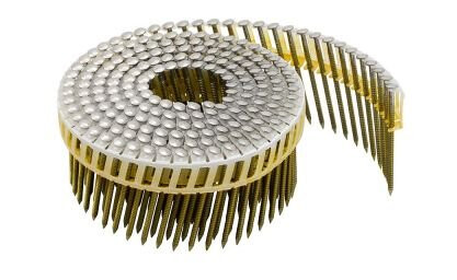 TJEP 839455 Ringspiker PC rundbånder buet skalle 2,5 x 55 mm 1600-pakning Innfesting