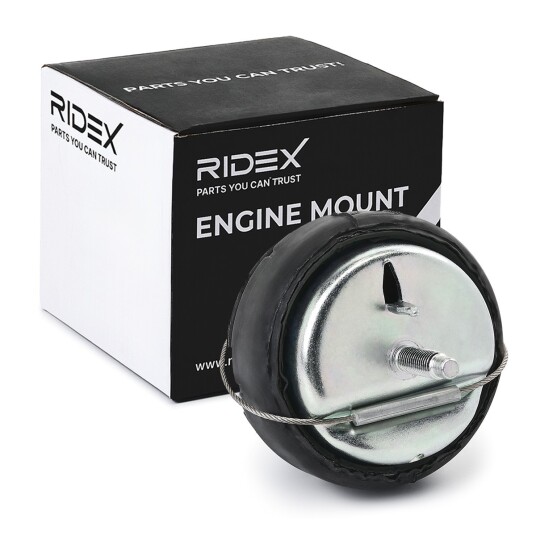 Motorfeste RIDEX 247E0513