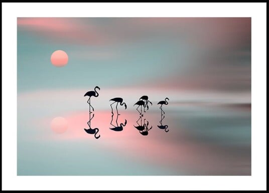 Natalia Family flamingos. Plakat / 50x70cm