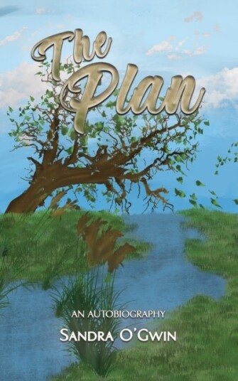 The Plan The Plan