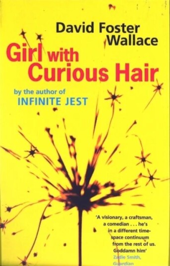 Girl With Curious Hair Av David Foster Wallace