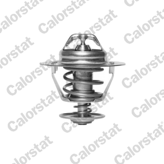 Termostat CALORSTAT by Vernet TH6319.88J