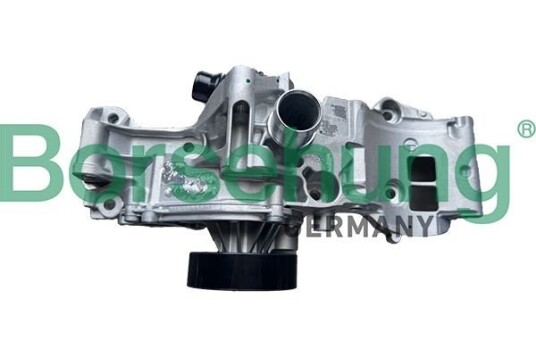 Vannpumpe Borsehung B11216