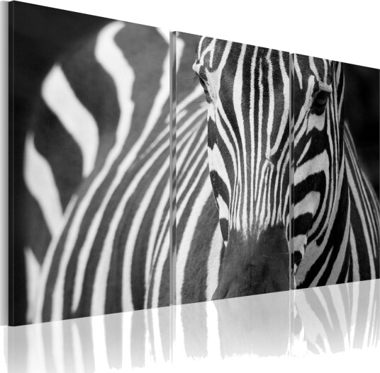 Bilde Mrs Zebra 120x80 Artgeist sp. z o. o.