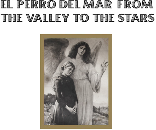 El Perro Del Mar From The Valley To The Stars CD