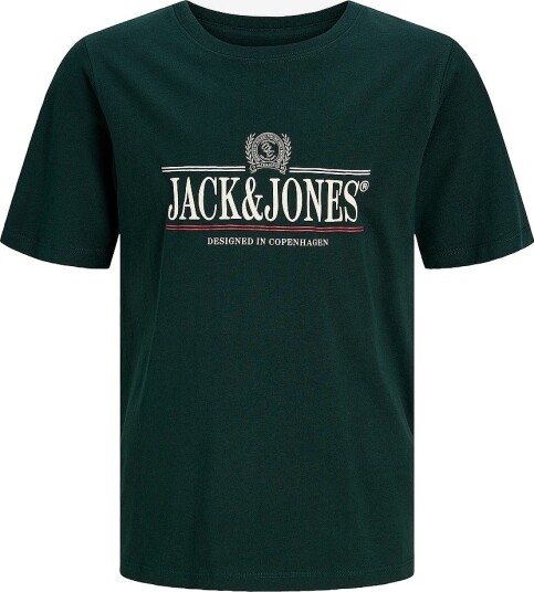 Jack & Jones Junior T skjorte Jorfrederiksberg Graphic Box Tee Ss Grønn