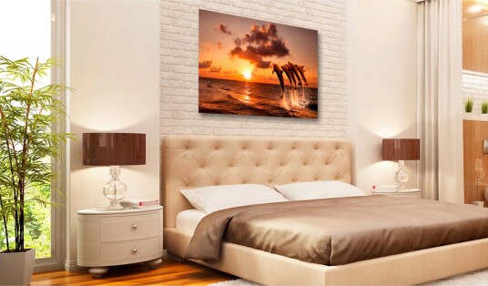Tavle The Dolphin'S Dance 60X40 Artgeist sp. z o. o.