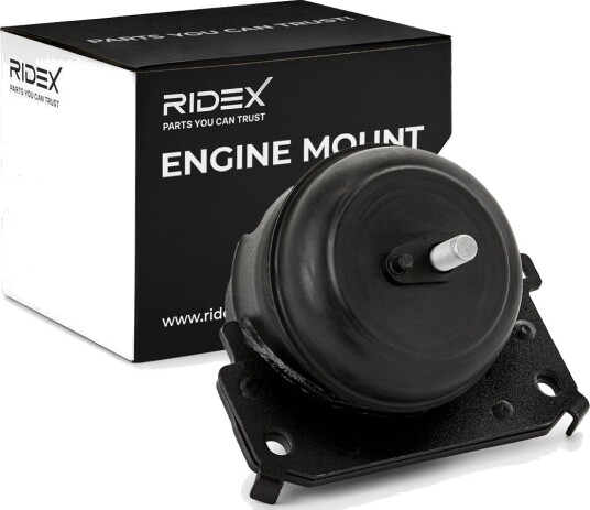 RIDEX 247E0428 Motorfeste