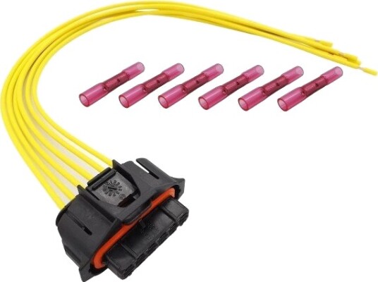 Plugg RK-TRONIC B0021