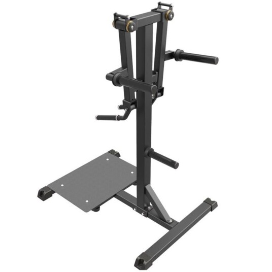 Impulse Standing Lateral Raise Black Impulse Standing Lateral Raise Black