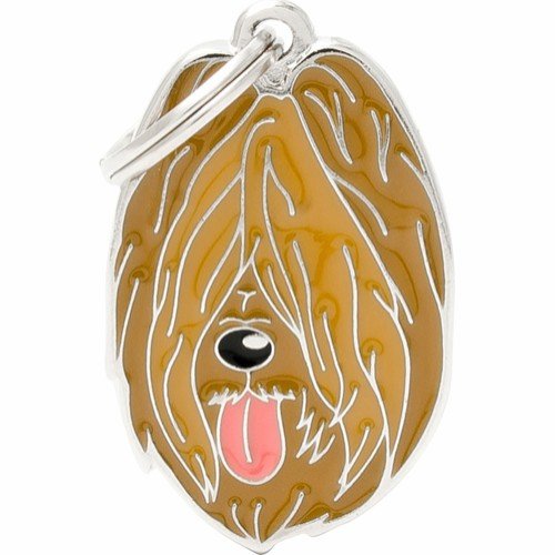 Myfamily Briard Idtag