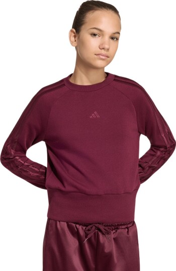 Adidas Performance Collegegenser Satin Bordeaux 116 cm til Barn Adidas Performance Collegegenser Satin Bordeaux 116 cm til Barn