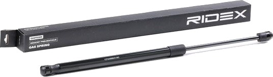 RIDEX 219G0738 Baklukedemper