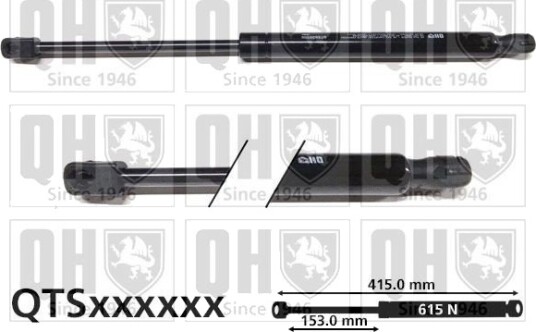 QUINTON HAZELL QTS828556 Baklukedemper