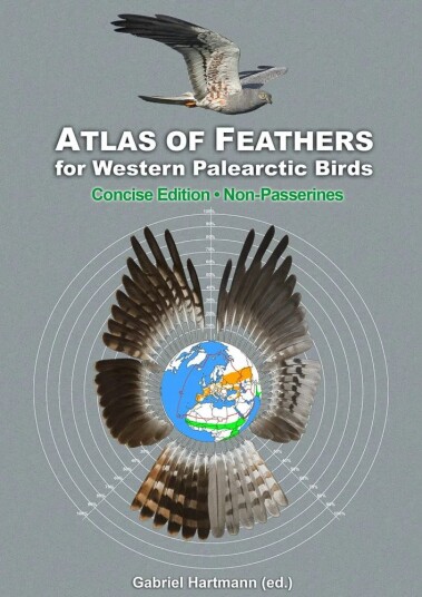 Atlas of Feathers for Western Palearctic Birds Non Passerines Concise Edition