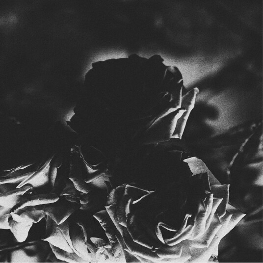 Hexis, Telos Hexis & Telos Split LP/Vinyl Hexis, Telos Hexis & Telos Split LP/Vinyl