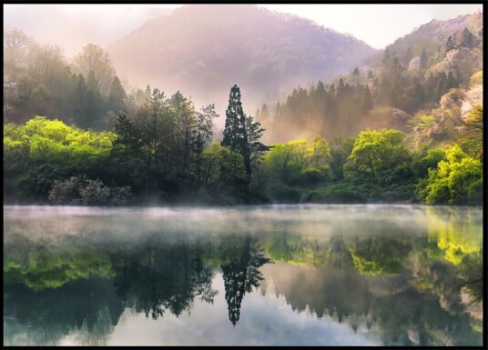 Misty Spring Lake Reflection Plakat / 70x100