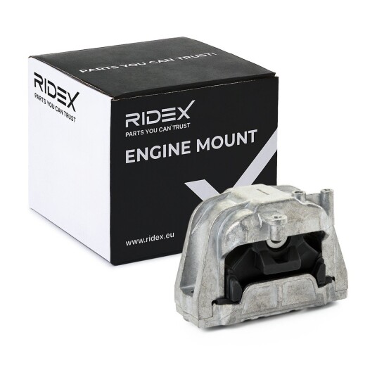 Motorfeste RIDEX 247E0848