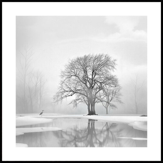 Tranquility after the snow Plakat Plakat / 50x50cm Tranquility after the snow Plakat Plakat / 50x50cm