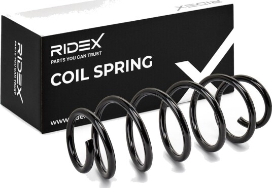 RIDEX 188C1449 Fjær
