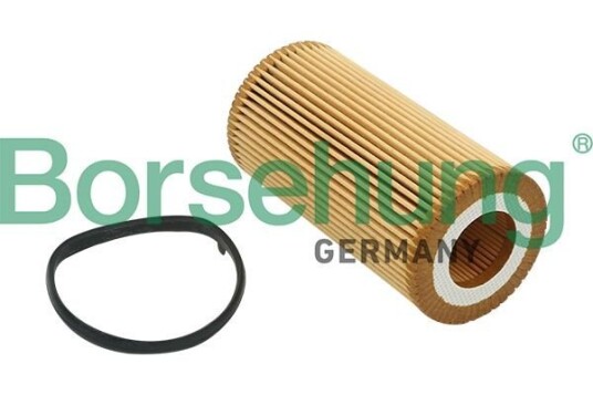 Oljefilter Borsehung B12815