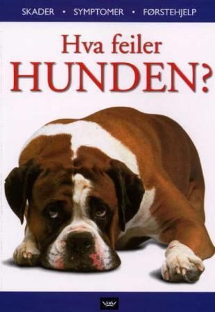 Hva feiler hunden? Pocket Pent brukt bok