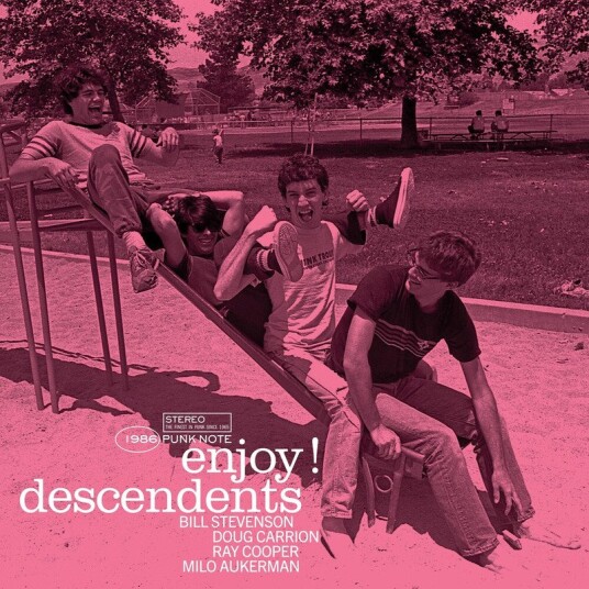 Enjoy Punk Note Edition Vinyl