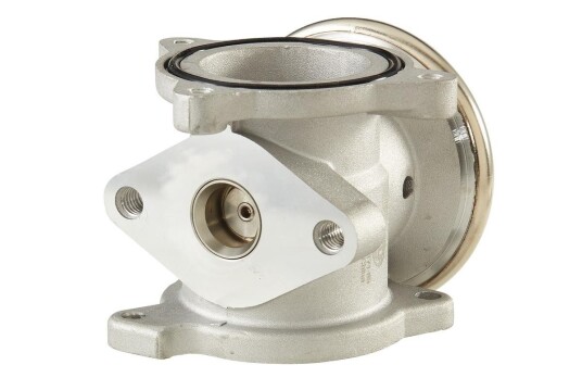 EGR Ventil HELLA 6NU 010 171-891