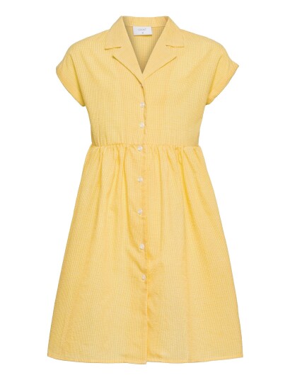 Grunt | Jane Check Dress | 170