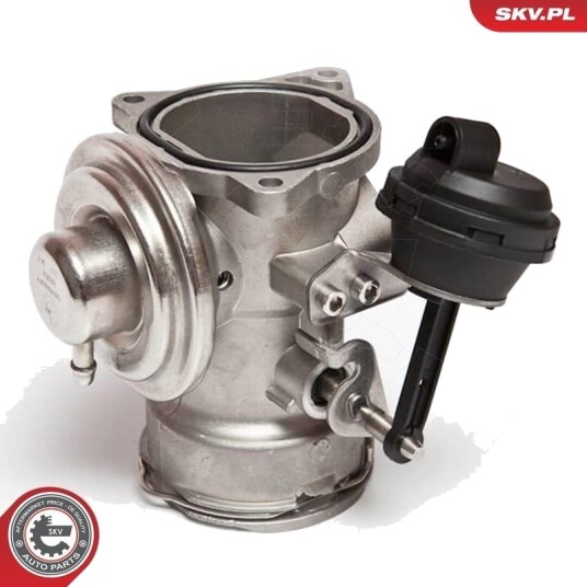 EGR-ventil ESEN SKV 14SKV025