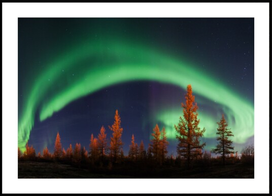 Vibrant Aurora Night Sky Plakat / 30x40 Vibrant Aurora Night Sky Plakat / 30x40