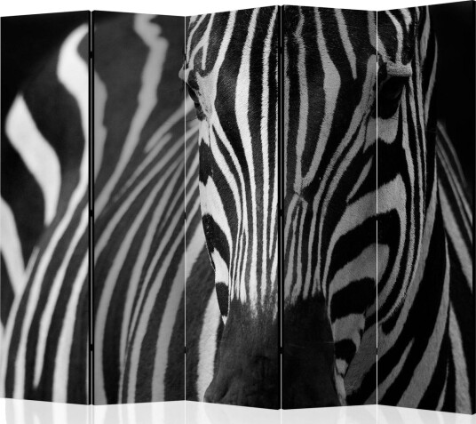 Romdeler - White with black stripes II 225x172 - Artgeist sp. z o. o.
