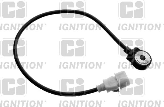 Bankesensor QUINTON HAZELL XKS31
