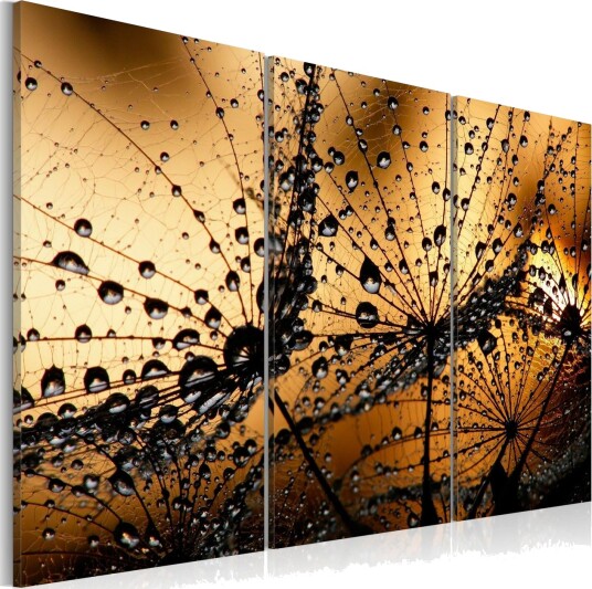 Bilde Dandelions And Dew 120x80 Artgeist sp. z o. o.