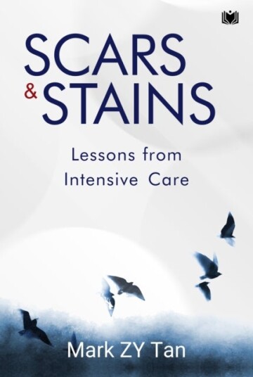 Scars & Stains Scars & Stains