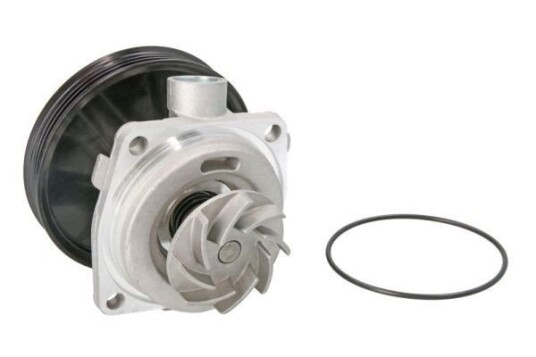 THERMOTEC D1F065TT Vannpumpe