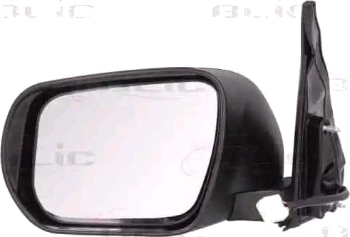 BLIC 5402-18-2002405P Sidespeil