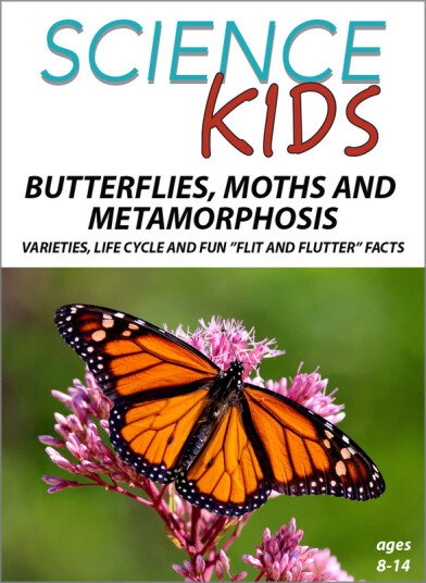 Science Kids: Butterflies Moths & Metamorphosis DVD