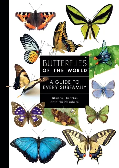 Butterflies of the World Butterflies of the World
