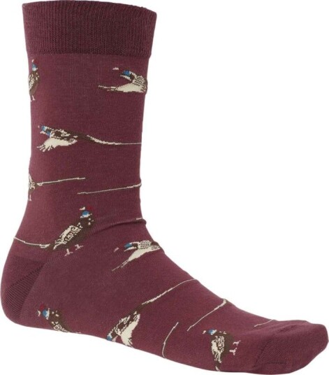 Chevalier Pomeroy Sock 40/42, Fox Red Pheasant